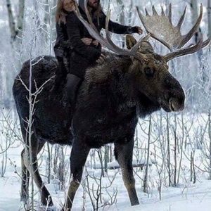 Meet your Posher, Gary